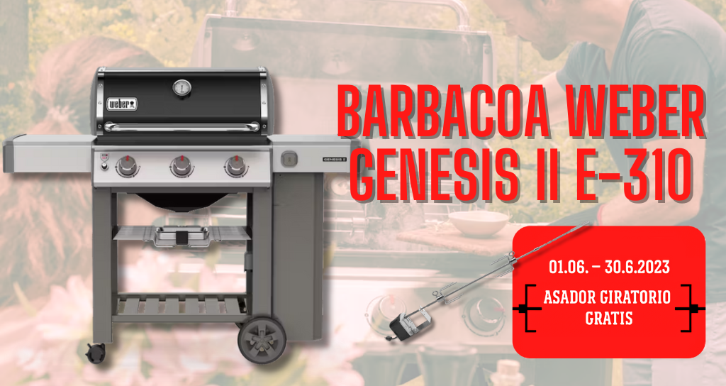 Barbacoa Weber Genesis II E-310.png